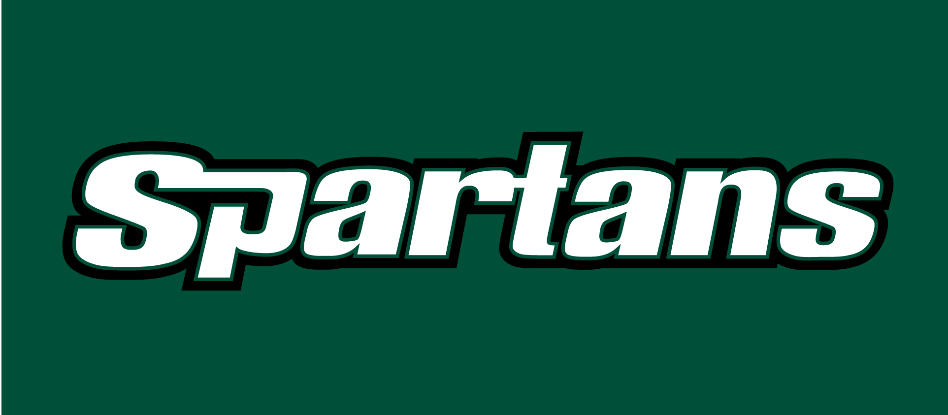 USC Upstate Spartans 2003-2010 Wordmark Logo v2 DIY iron on transfer (heat transfer)